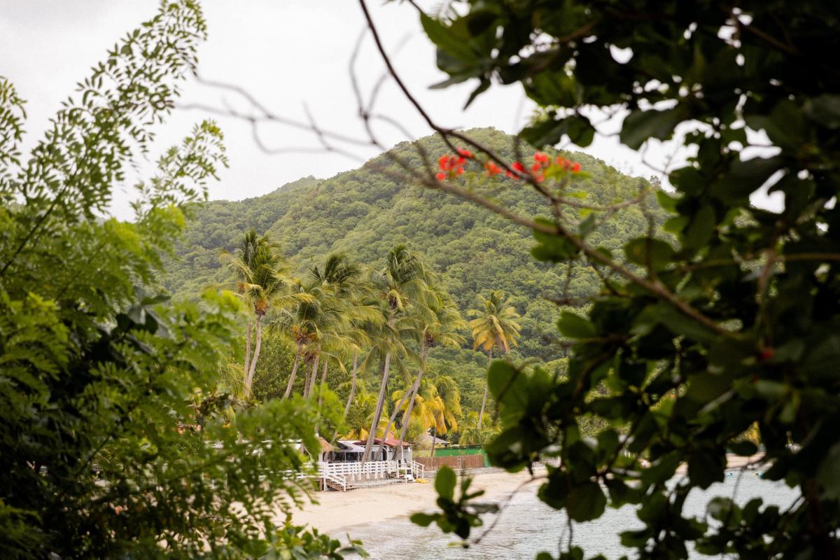 Location villa 7 chambres Anses Arlet Martinique - Vue plage